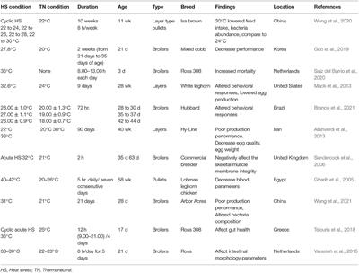 Environmental Stress in Chickens and the Potential Effectiveness of Dietary Vitamin Supplementation